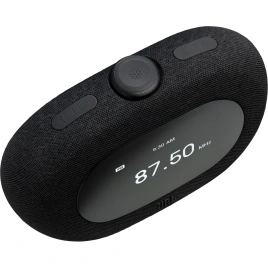 Беспроводная колонка JBL Horizon 3 Black (с FM приемником)