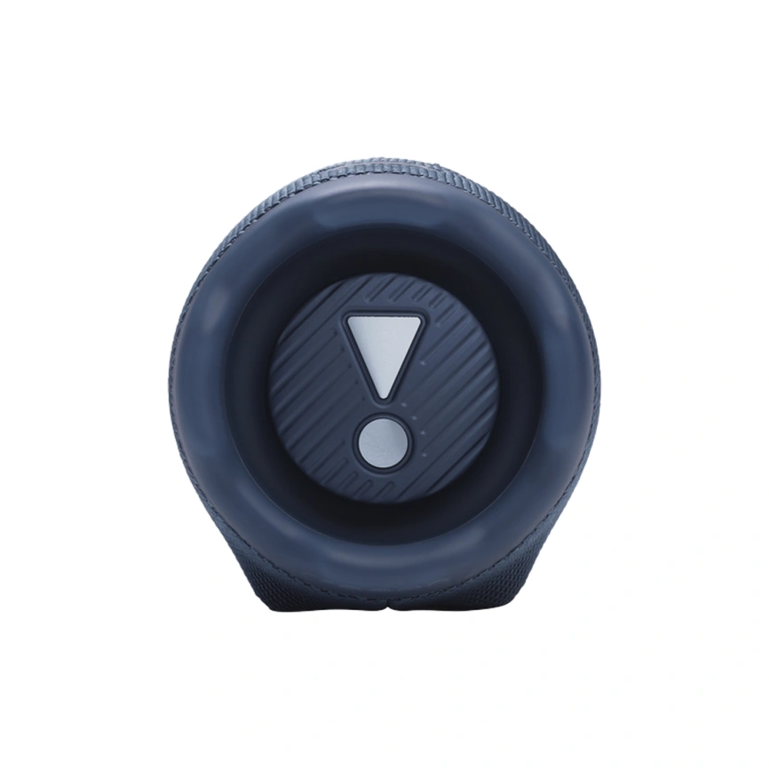 Портативная колонка JBL Charge 6 Blue фото 4